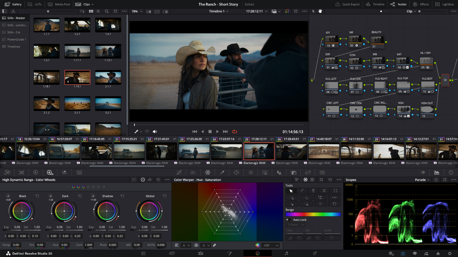 Blackmagic Design DaVinci Resolve Studio - download only / SYNTEX.TV