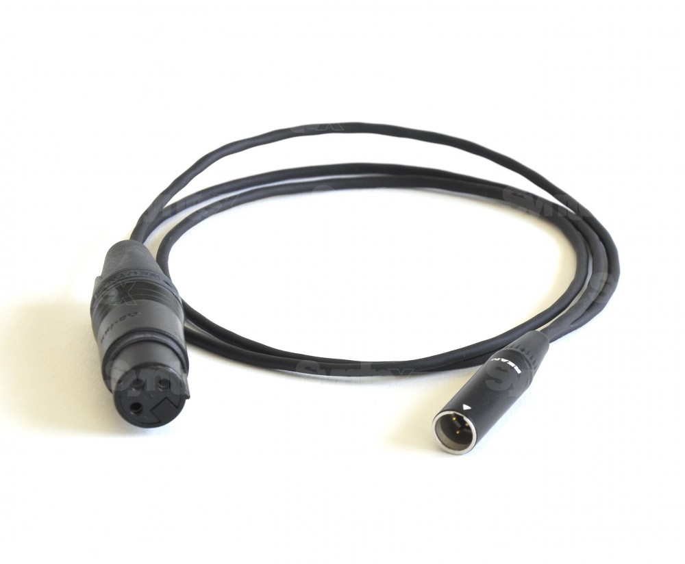 Variant hensynsfuld undulate Canare Mini XLR (M) / XLR (F) audio cable - 0,5m / SYNTEX.TV