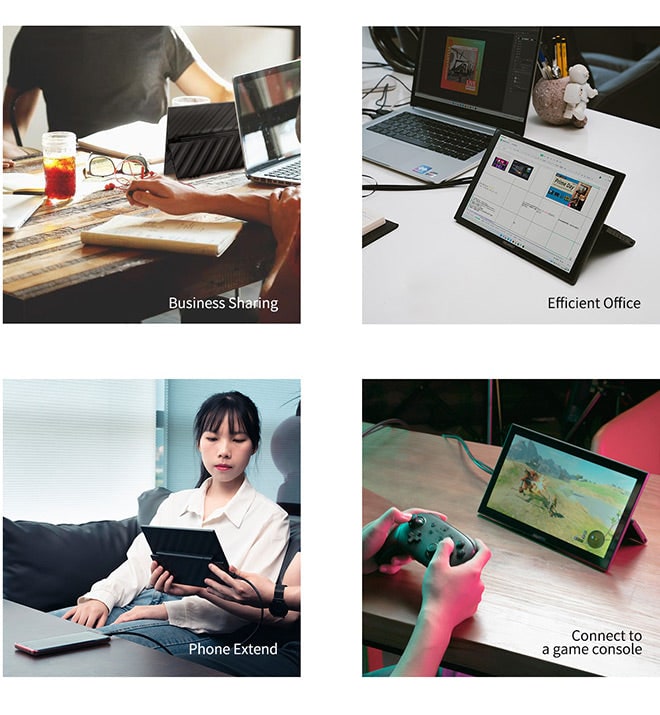 FEELWORLD DH101