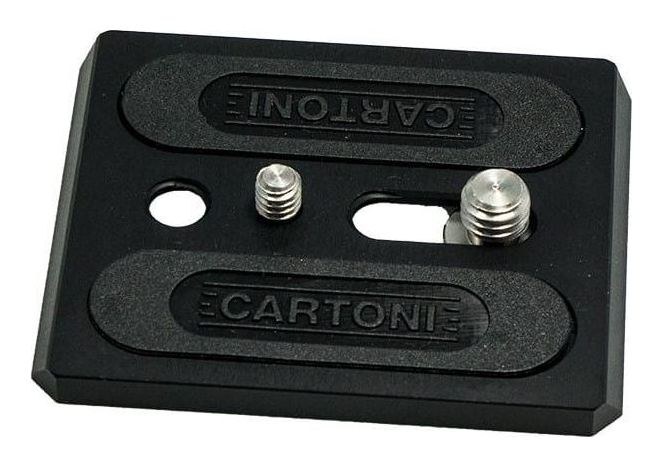 Cartoni Plate AH859