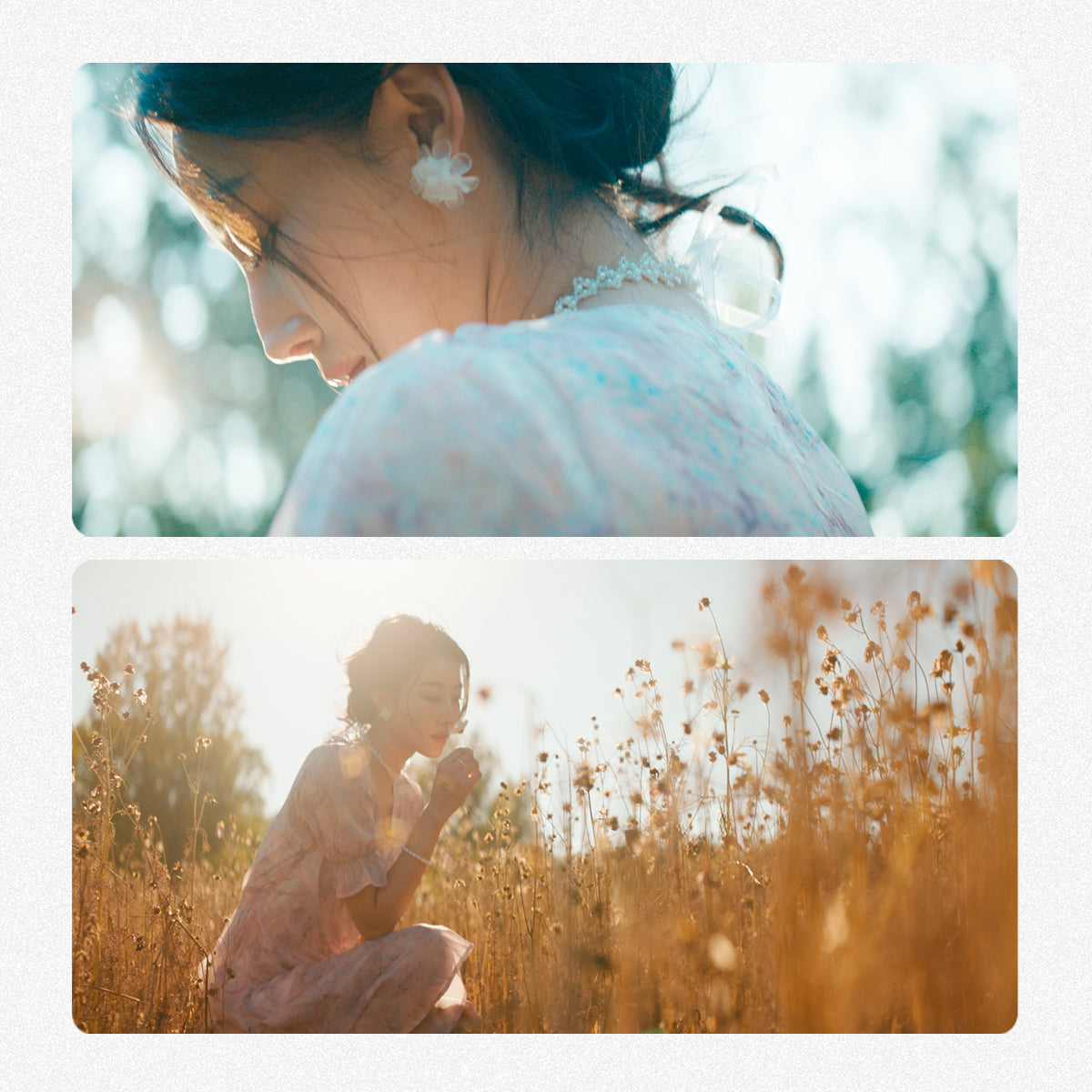 Soft bokeh from Viltrox EPIC 50mm