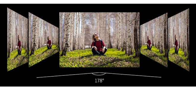 SEETEC P238-9HSD-CO