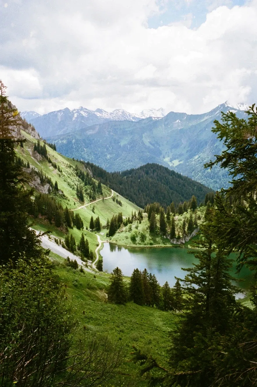 WIDE VIEW, FINE DETAIL