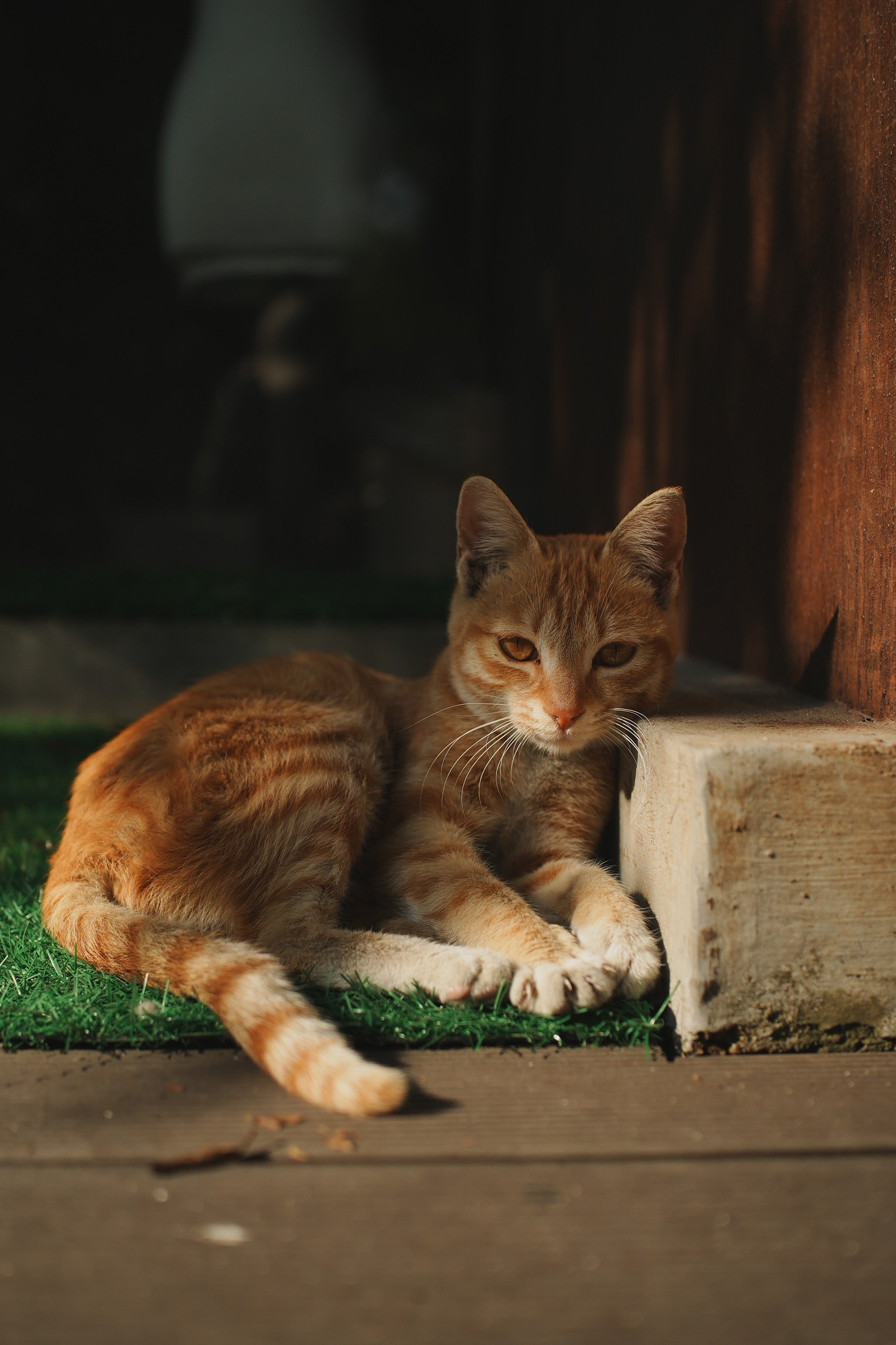 F1.7 for low light and subject separation