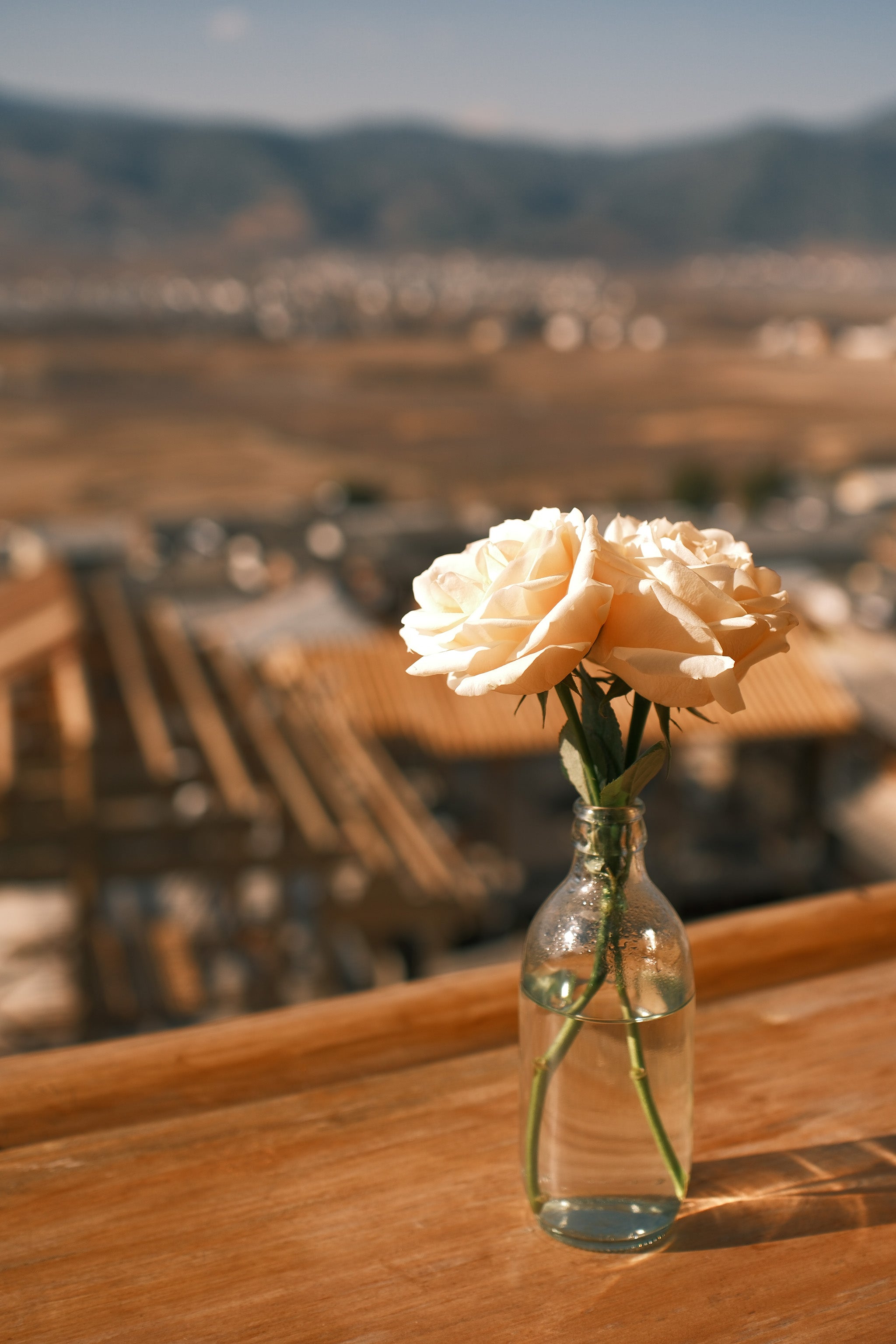 Real photographs made with the lens
