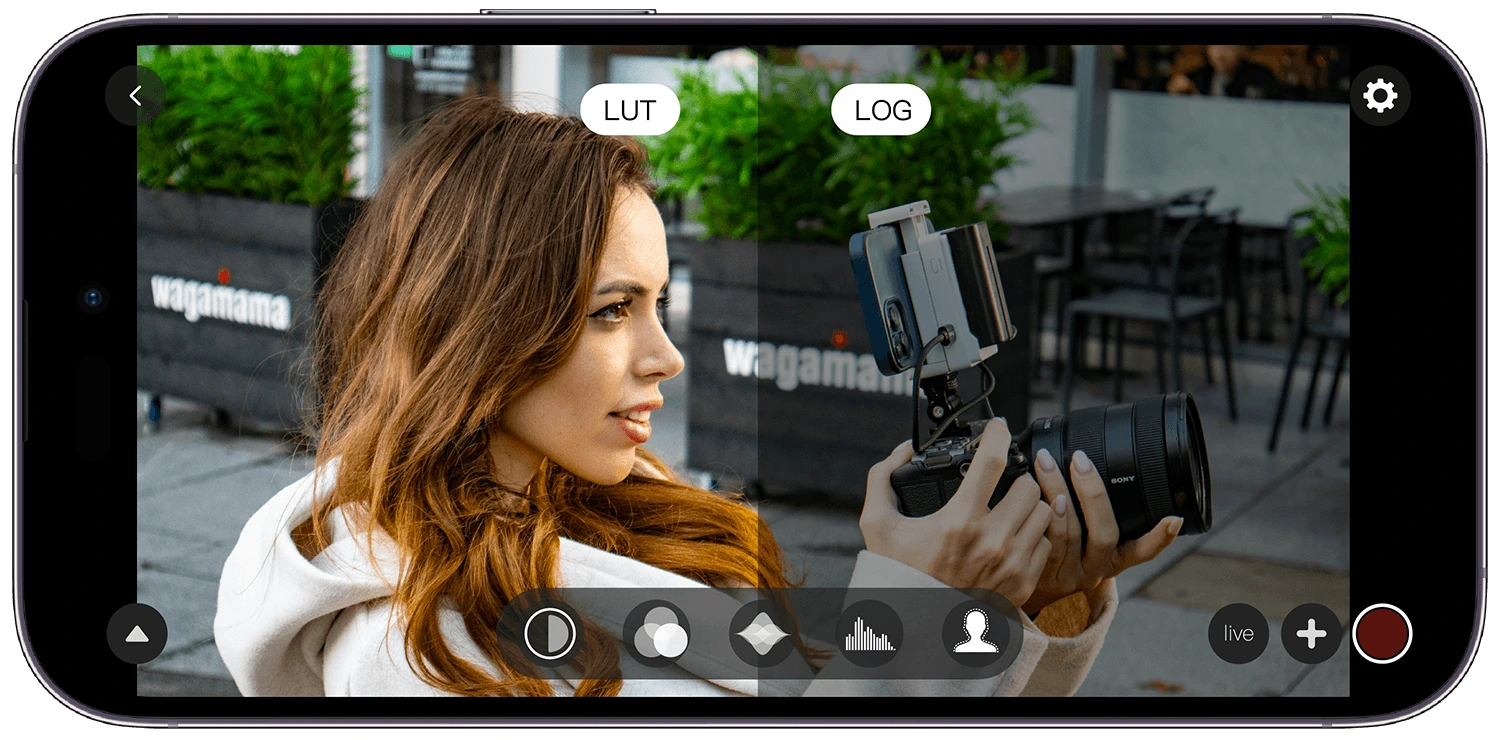 A viewing look for Log footage · Accsoon CineView Quad