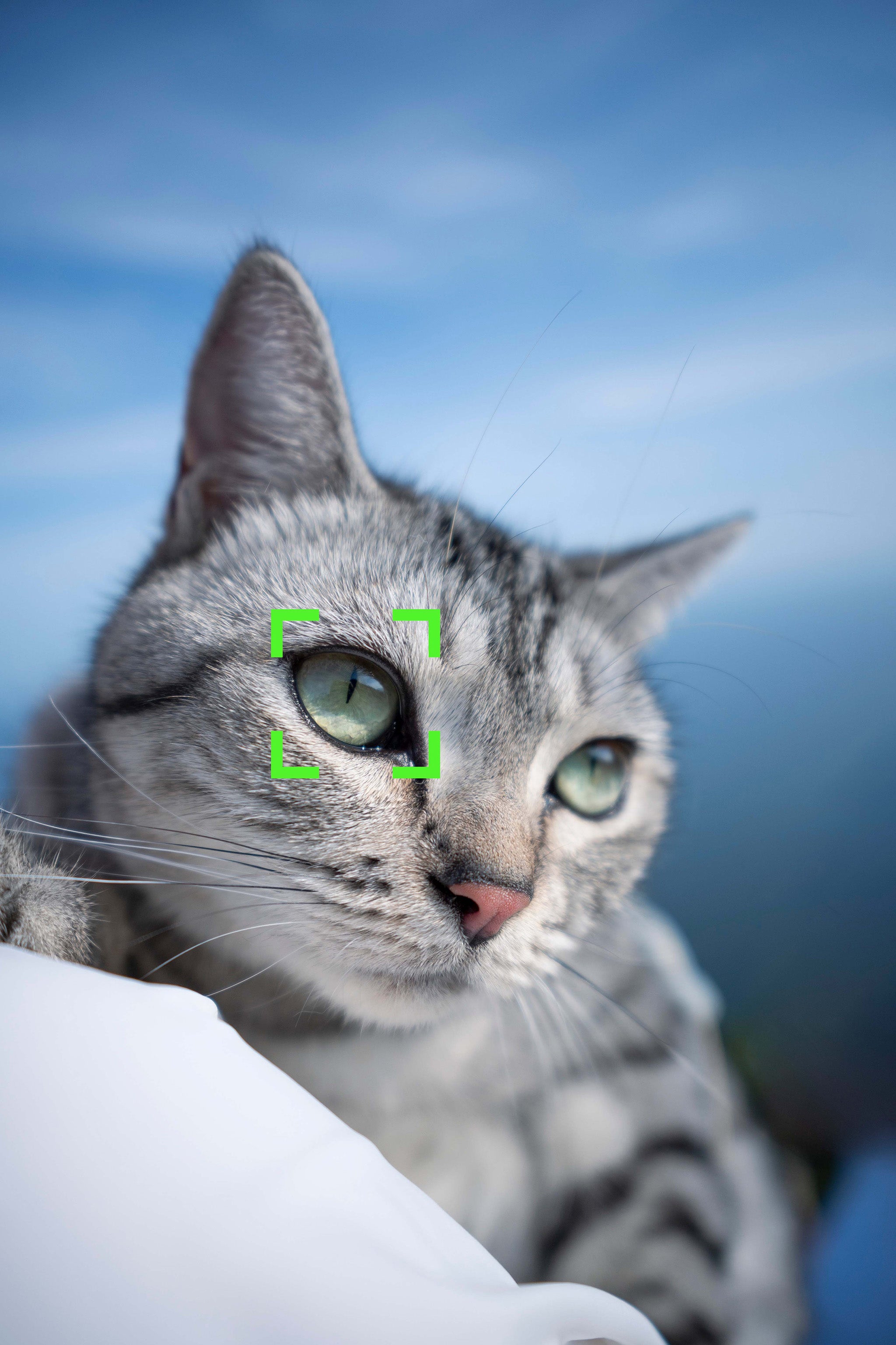 Eye and face detection with Viltrox