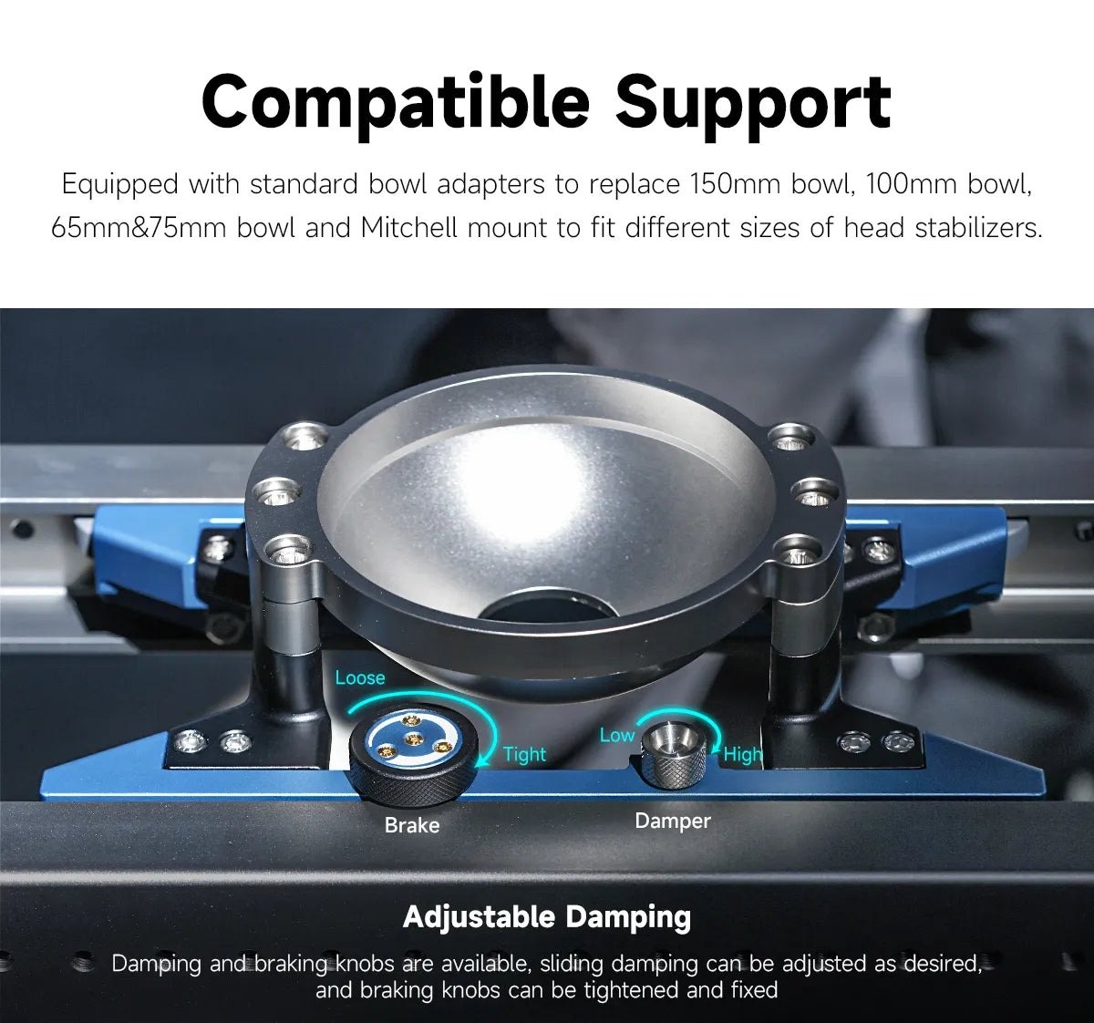 Brake and adjustable damping