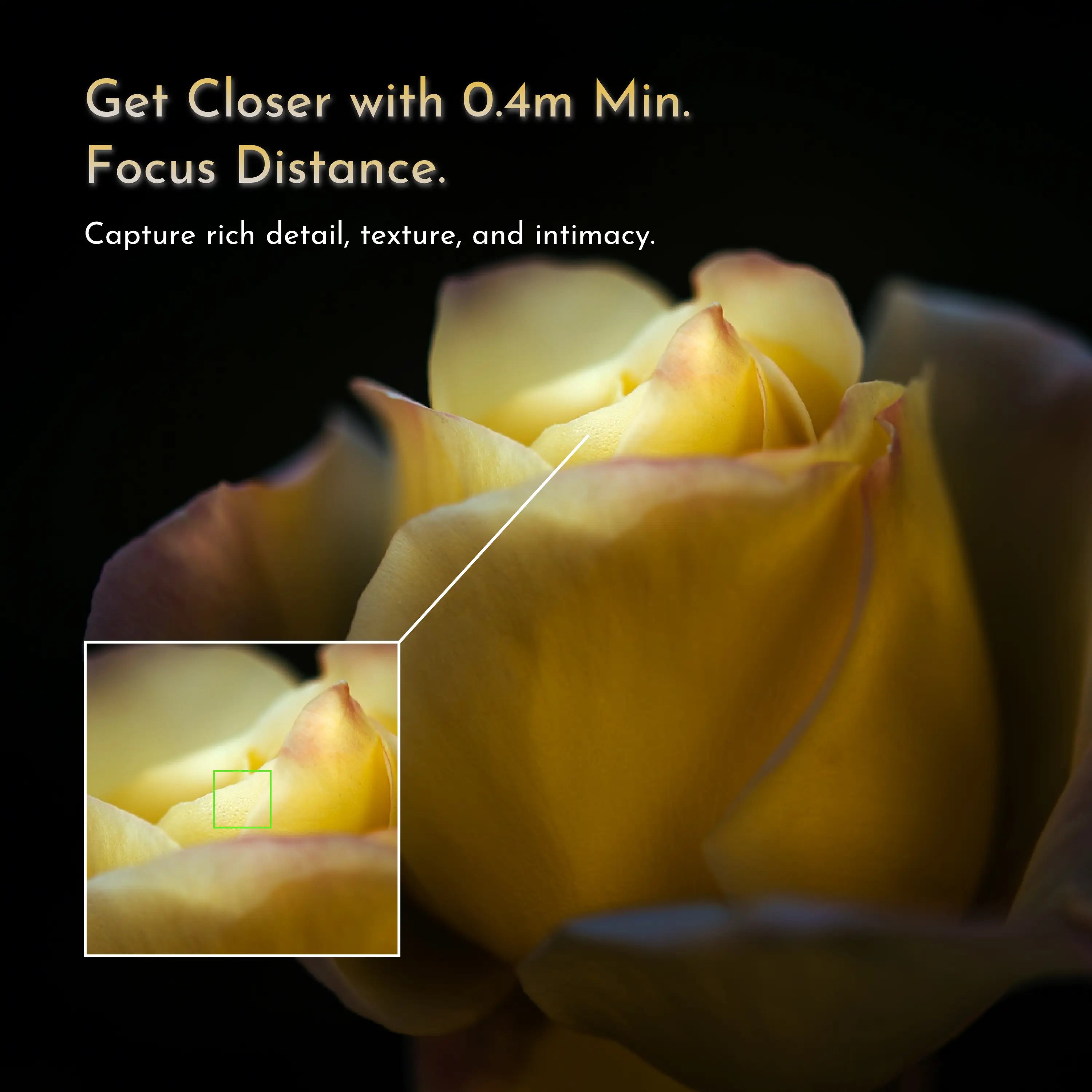 Official Simera 28 mm close-focus sample at 0.4 m