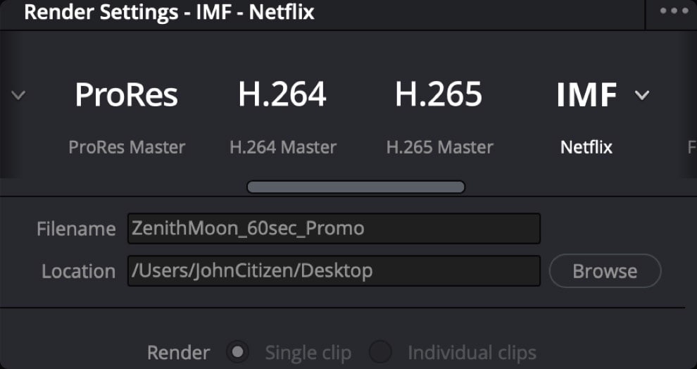 DaVinci Resolve Studio – Professional formats and delivery