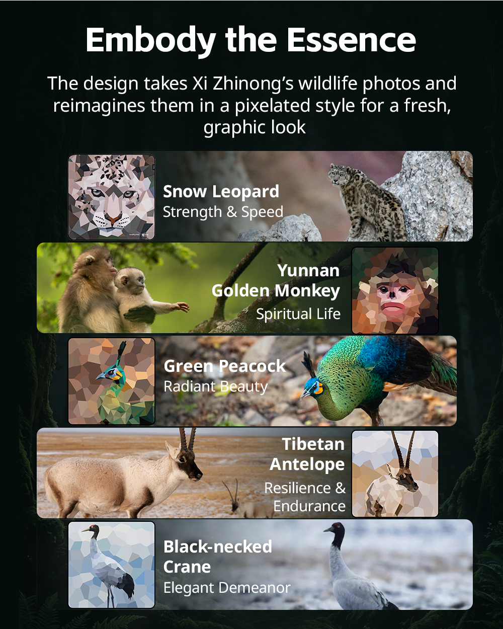 SmallRig 5925 infographic 02
