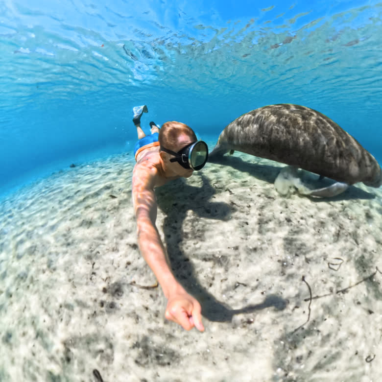 Designed to disappear in 360° footage