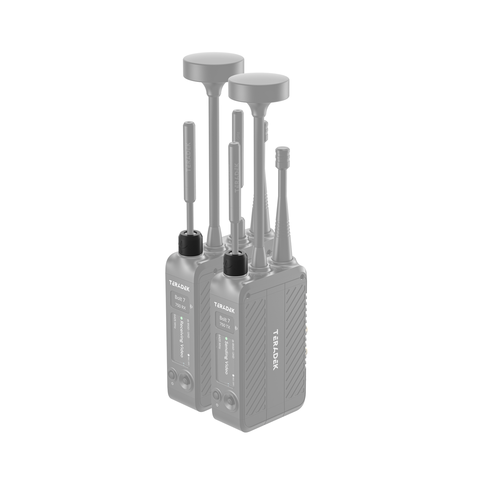 Detail of the black Teradek Bolt 7 identification band