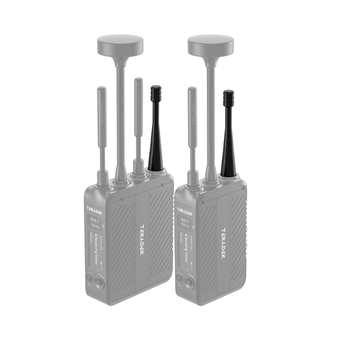 Teradek 900 MHz Antenna installed on a Bolt 7 system
