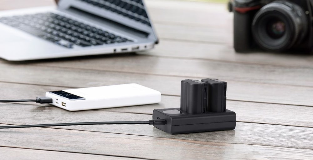 2-slot charger