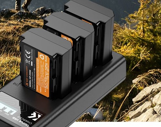 3-slot charger