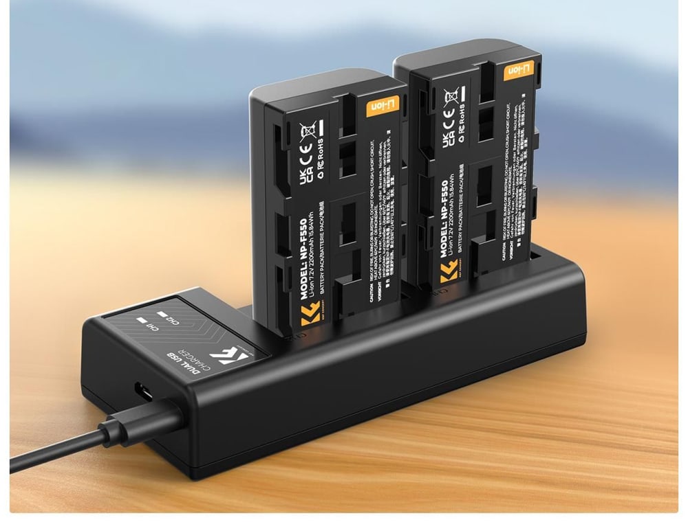 Two 2200 mAh batteries