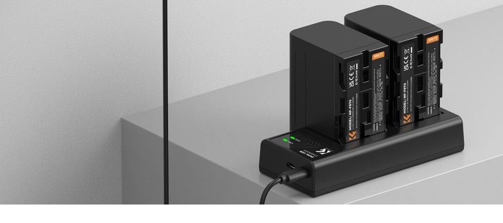 2-slot charger