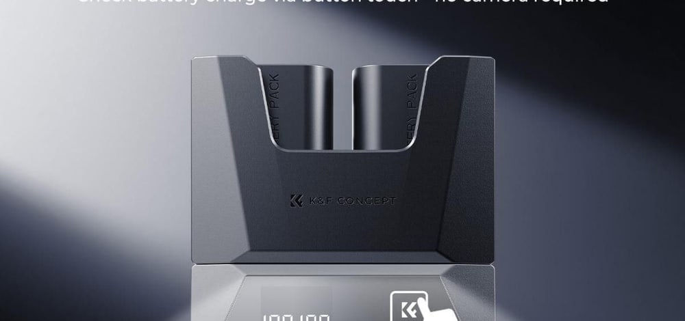 2-slot charger