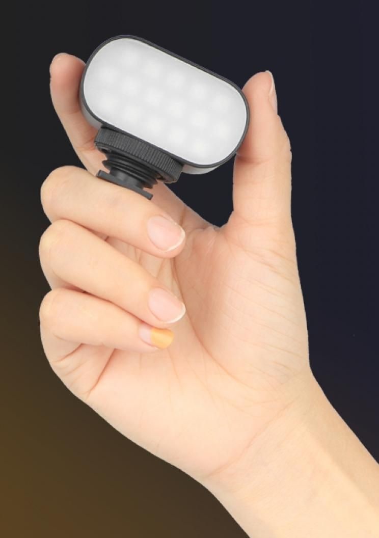 In your palm or in the shoe