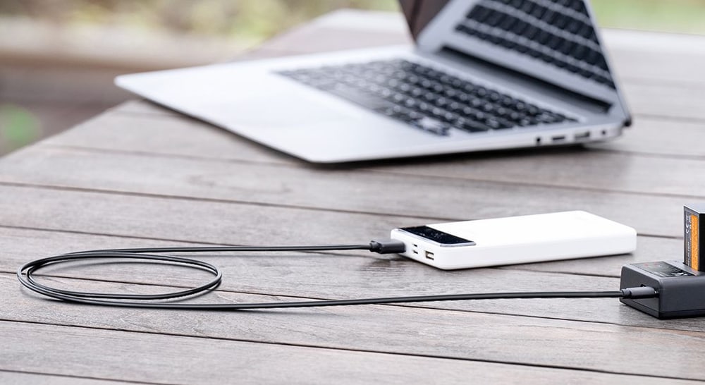 2-slot charger