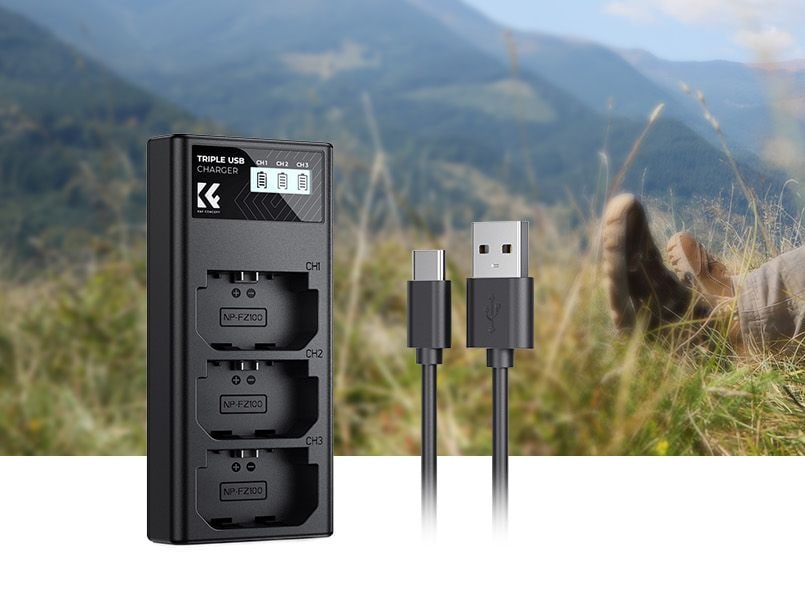 3-slot charger