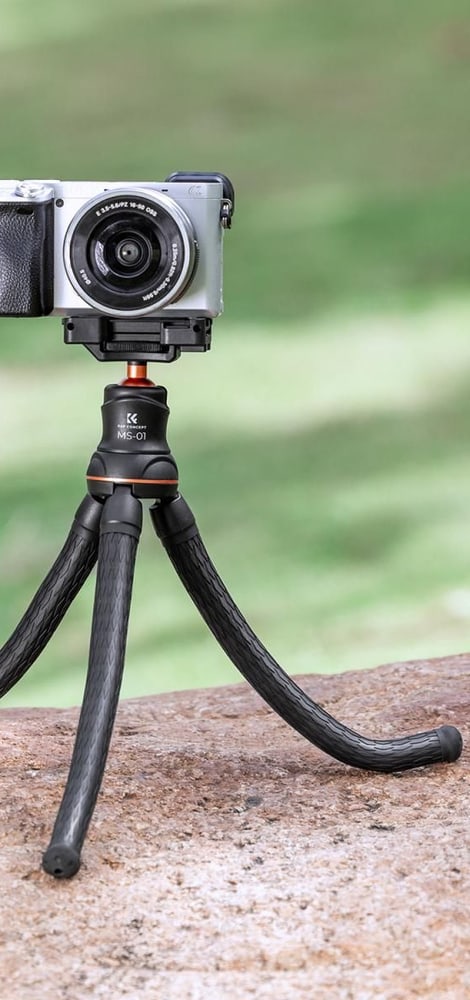 Holds a camera too