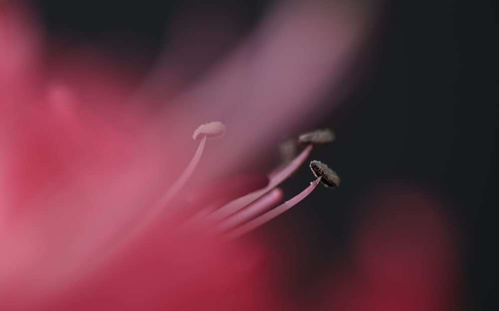 Fast, precise focusing