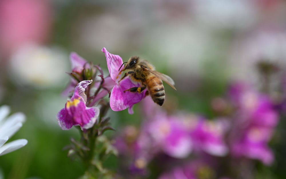 Comfortable macro work