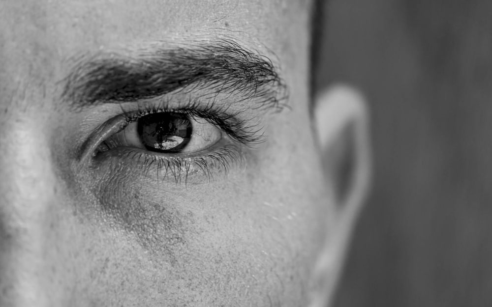 Portraits