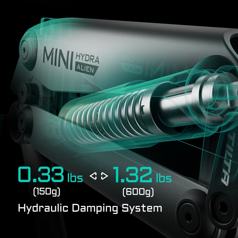 Hydraulic damping system