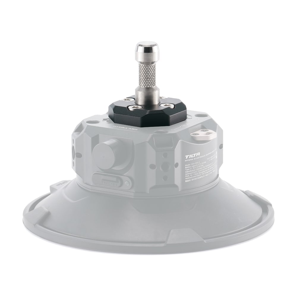 Straight onto the 6″ electronic suction cup