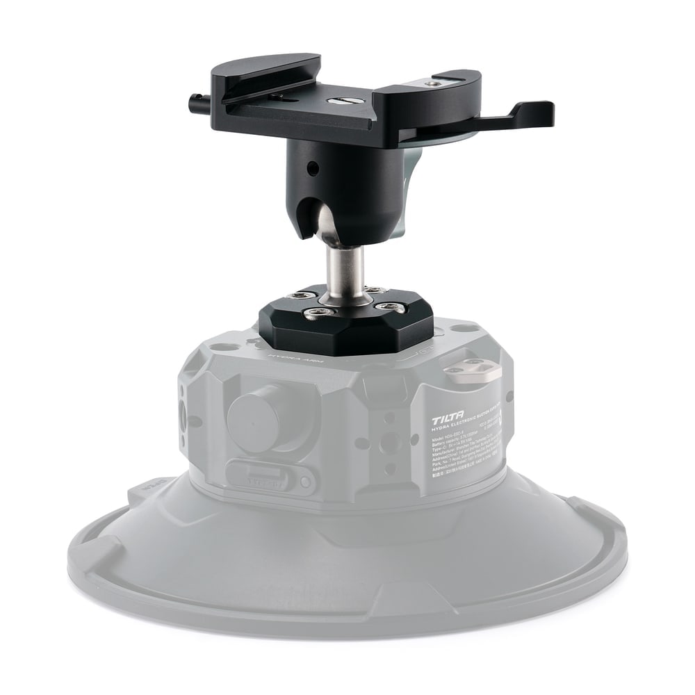 Straight onto the 6″ electronic suction cup