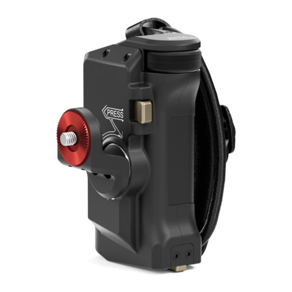 Type III attachment: rosette