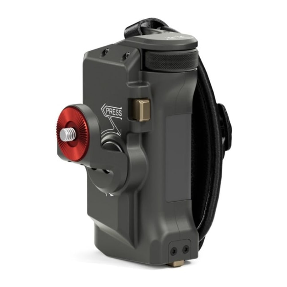 Type III attachment: rosette