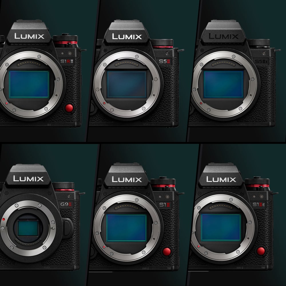 Six Lumix bodies, one cage