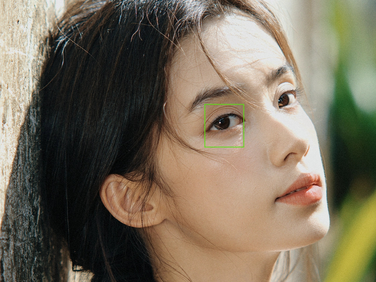 Manufacturer sample with a green focus box on the eye
